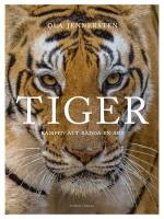 Tiger : Kampen att r&auml;dda en art