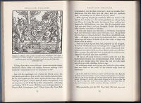 Bad och bot : Badet, vattenl&auml;kekonsten och kurorterna genom tiderna