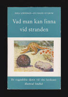 Vad man kan finna vid stranden : De ryggradsl&ouml;sa djuren vid v&aring;ra havskuster