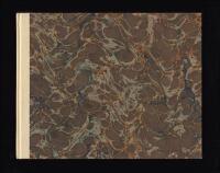 Djurg&aring;rdsstaden : En trehundra&aring;rig idyll