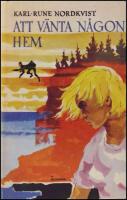 Att v&auml;nta hem n&aring;gon