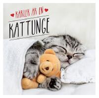 K&auml;rlek &auml;r en kattunge