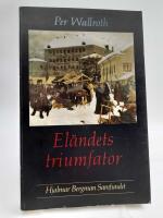 El&auml;ndets triumfator : Studier i Hjalmar Bergmans roman Knutsm&auml;sso marknad = [The triumpher of misery] : [a study of Hjalmar Bergman's novel St. Canute's Fair]