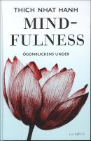Mindfulness : &Ouml;gonblickens under