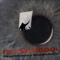 Fr&aring;n skuggsidan : Folk och f&ouml;rbrytelser ur Stockholms historia