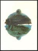 Ixander vid Metasoxl