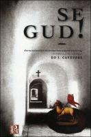 Se Gud! Kartusianmunkar beskriver kontemplationens v&auml;g