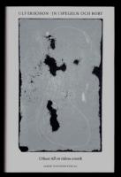 In i spegeln och bort : Utkast till en tidens estetik