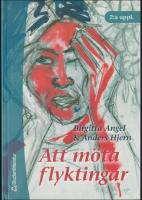 Att m&ouml;ta flyktingar