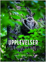 Upplevelser i Stockholms natur