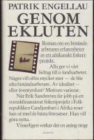 Genom ekluten : Roman om en bist&aring;ndsarbetares erfarenheter av ett afrikanskt fiskeriprojekt