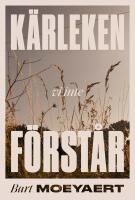 K&auml;rleken vi inte f&ouml;rst&aring;r