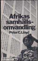 Afrikas samh&auml;llsomvandling