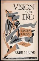 Vision och eko