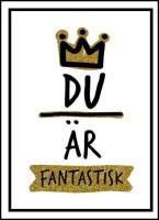 Du &auml;r fantastisk