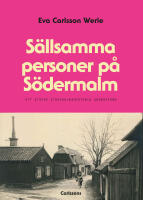 S&auml;llsamma personer p&aring; S&ouml;dermalm : Ett stycke Stockholmshistoria underifr&aring;n