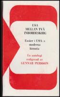 USA mellan tv&aring; inb&ouml;rdeskrig : Ess&auml;er i USA:s moderna historia : en antologi