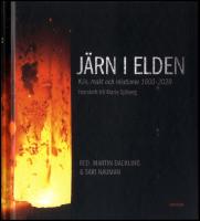 J&auml;rn i elden : K&ouml;n, makt och relationer 1600-2020