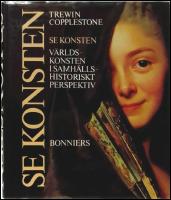 Se konsten : V&auml;rldskonsten i samh&auml;llshistoriskt perspektiv
