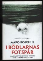 I b&ouml;dlarnas fotsp&aring;r : Massavr&auml;ttningar och terror i finska inb&ouml;rdeskriget 1918
