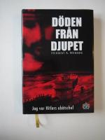 Skagerackslaget 1916 : titanernas kamp