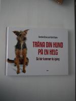 Tr&auml;na din hund p&aring; en helg