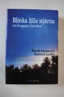 Blinka lilla stj&auml;rna : om &ouml;vergrepp i fosterhem