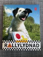 Rallylydnad
