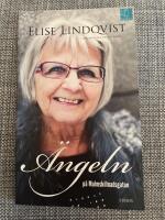 &Auml;ngeln p&aring; Malmskillnadsgatan