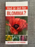Vad &auml;r det f&ouml;r blomma? : en praktisk naturguide