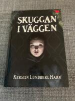 Skuggan i v&auml;ggen