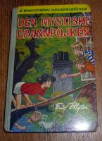 Den mystiske grannpojken