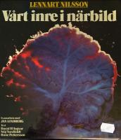 V&aring;rt inre i n&auml;rbild