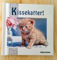 Kissekatter