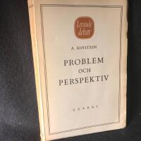 Problem och perspektiv