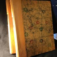 Kinas tr&auml;dg&aring;rdar vol. I och vol. II