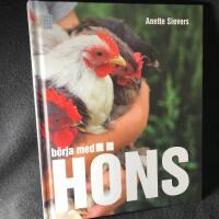 B&ouml;rja med h&ouml;ns