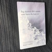 Jag skriver ditt namn som bara du kan se: En spegeldagbok i polarfararen S. A. Andr&eacute;es sp&aring;r genom isen
