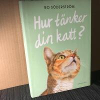 Hur t&auml;nker din katt?
