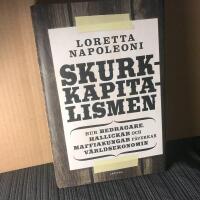 Skurkkapitalismen : hur bedragare, hallickar och maffiakungar p&aring;verkar v&auml;rldsekonomin