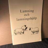 Lamning och lamningshj&auml;lp