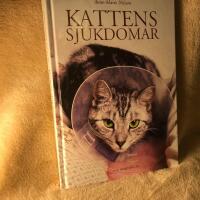 Kattens sjukdomar
