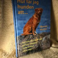 Hur f&aring;r jag hunden att...?