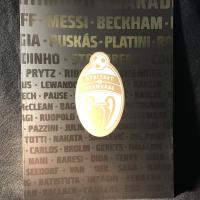 Stolthet & och framg&aring;ng 2014. Spelarna som skapade fotbollshistoria