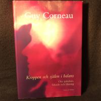 Kroppen och sj&auml;len i balans : Om sjukdom, lidande och l&auml;kning