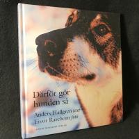 D&auml;rf&ouml;r g&ouml;r hunden s&aring;
