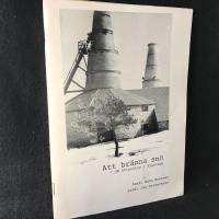 Att br&auml;nna sn&ouml; - om kvinnoliv i Fleringe