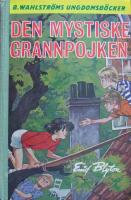 Den mystiske grannpojken