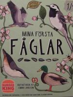 Mina f&ouml;rsta f&aring;glar - en faktabok
