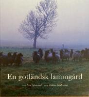 En gotl&auml;ndsk lammg&aring;rd : Nyg&aring;rds i Buttle